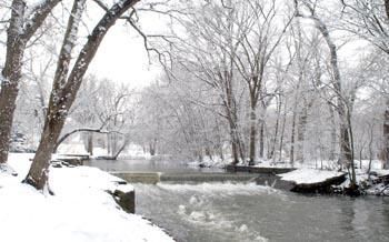 Winter scenes